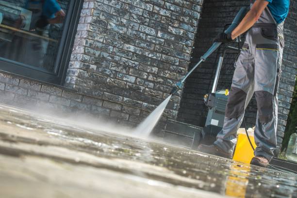Best Animal Enclosure Cleaning  in Timberlake, VA