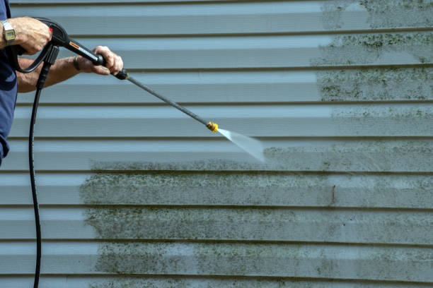 Reliable Timberlake, VA  Pressure Washing Services Solutions